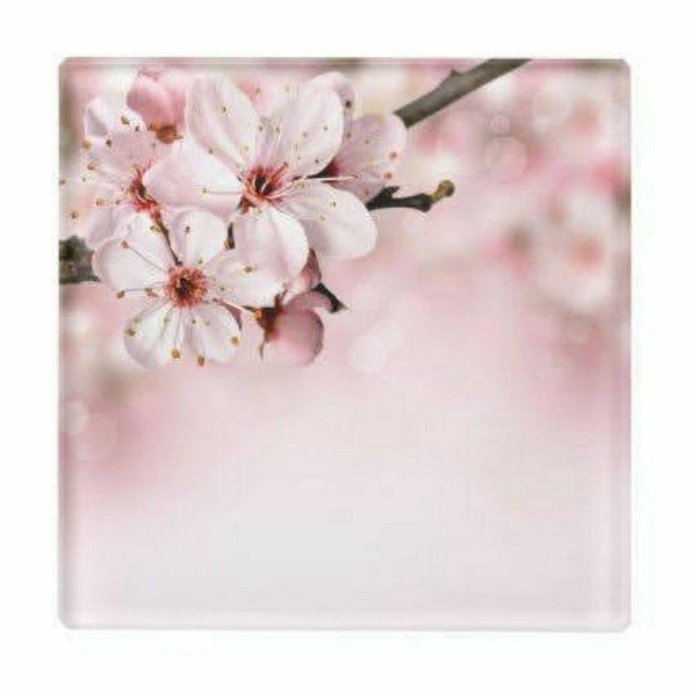 Meet your Posher, Jeannie